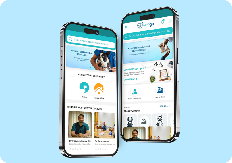 Vetigo - Animal Telemedicine and Consultation Platform